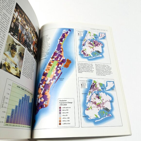 The Historical Atlas of New York City A Visual Celebration Eric Homberger 2005 - Picture 10 of 16